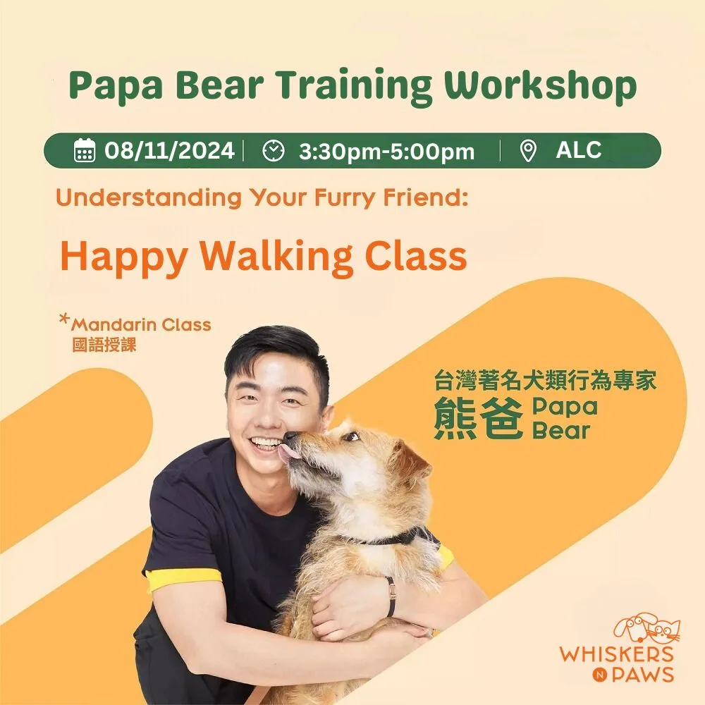 Happy Walking Class (1.5 hours, including outdoor walking)