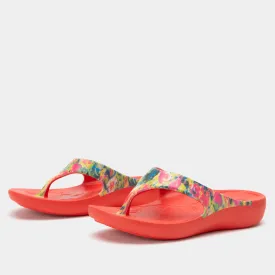 Ode Itchycoo Sandal