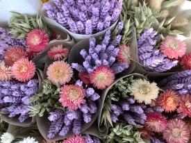 Spring Collection Dried Flower: Pink and Lilac Mixed Bunch